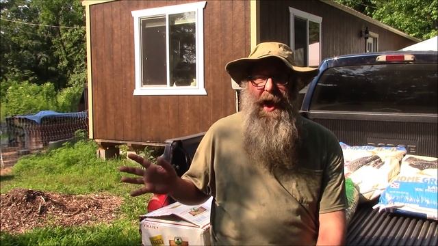 Copper Marans & Welsummers From 2 Different Breeders смотреть онлайн