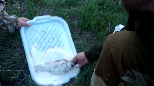 живучий карась!!! смотреть онлайн