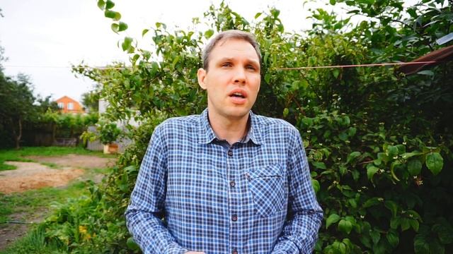 Я получил Вид на жительство в России. Что изменилось. смотреть онлайн