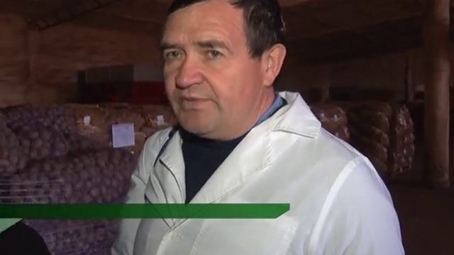 Проверка семенного картофеля в Ростовской области смотреть онлайн