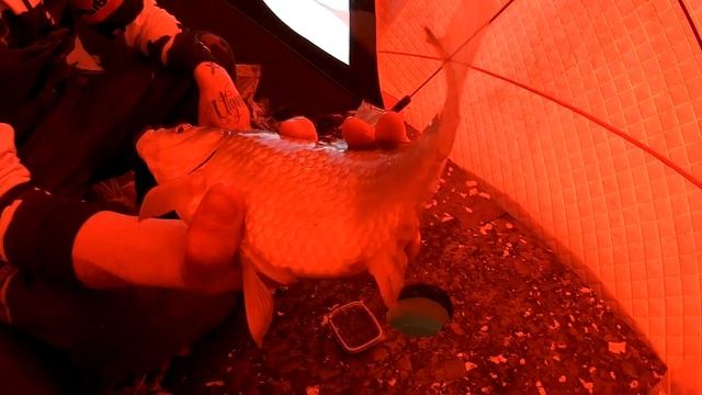"Чаны" Попали на бешеный клев карася !!! Шикарное закрытие сезона льда !деревня Тюменка 2021 смотреть онлайн