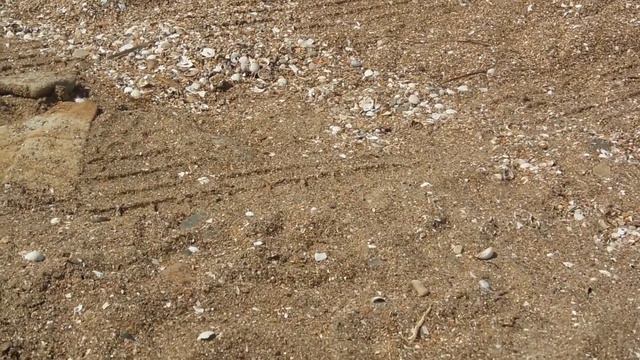Ейск, июль 2018 Азовское море смотреть онлайн