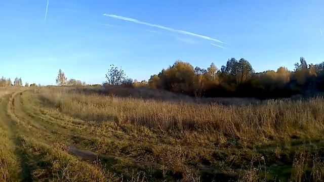 .Идём с Патриком на пруд. смотреть онлайн