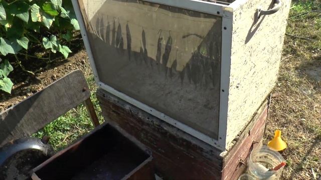 Кулинарное Вдохновение