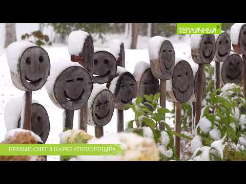 Первый снег в парке "Тепличный" смотреть онлайн