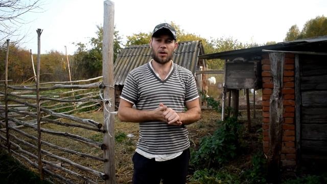 КУПИЛИ ДОМ В ДЕРЕВНЕ. СДЕЛАЛИ НОВЫЕ ДВЕРИ. ЗАРАБОТАЛИ ДЕНЕГ смотреть онлайн