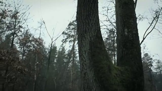 ПУЩА-ВОДИЦА. МЕСТА СЪЁМОК ФИЛЬМА "ПАРШИВЫЕ ОВЦЫ" (2010) смотреть онлайн