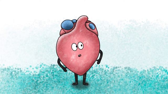 Heart animation / Анимация сердца смотреть онлайн