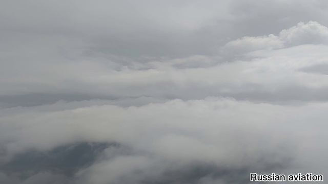 Airbus A320-200 A/k S7 Airlines | Новосибирск-Москва