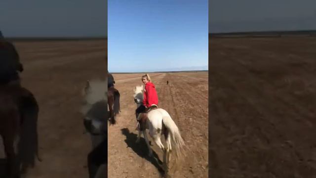Полевой галоп!)) смотреть онлайн