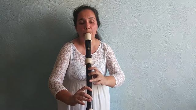 Вл. Вавилов - Канцона (город золотой) блокфлейта тенор смотреть онлайн