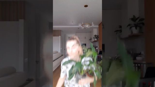 Женское счастье подъехало! #спатифиллум #indoorplant #комнатныерастения #счастье #spathiphyllum смотреть онлайн