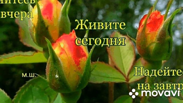 #Доброе#утро#Гриша Петров❤❤❤ смотреть онлайн