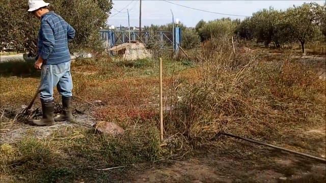 ВЛОГ ГРЕЦИЯ НАШЕ СЕЛЬСКОЕ ХОЗЯЙСТВО СПЛЕТНИ ЖАРИМ РАБОТАЕМ БОЛТАЕМ смотреть онлайн