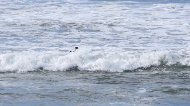 PADDLING OUT THROUGH BREAKING WAVES | How To Surf | Making it into the Line-up Through White Water смотреть онлайн