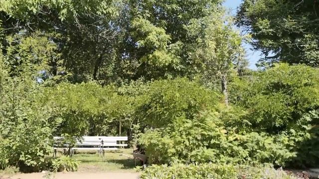 Художники реалисты с берегов Невы смотреть онлайн