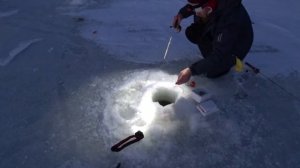 Вечерняя и ночная рыбалка на Аляске.Ice fishing. Alaska.