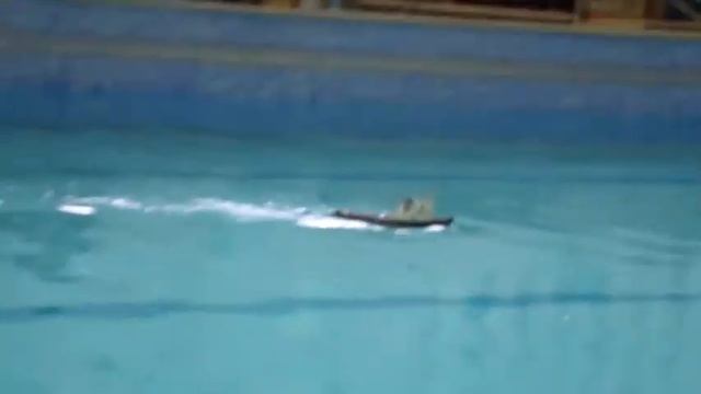 Судомодельный спорт Кострома смотреть онлайн