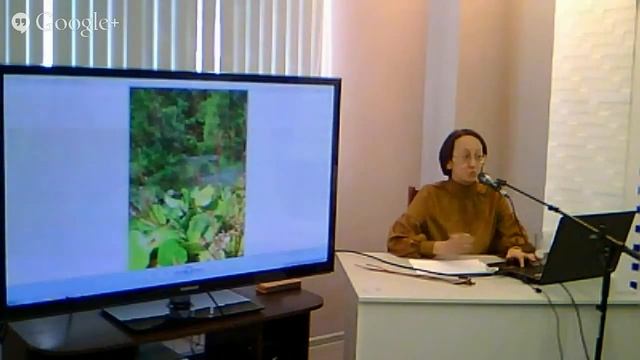 Семенное размножение редких растений: кандыки, жарки, декоративные луки, черемша смотреть онлайн