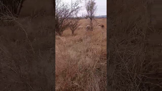 12 ноября 2023 г. (1).mp4 смотреть онлайн