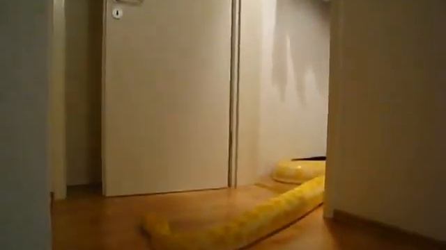 Удав открывает дверь ванной