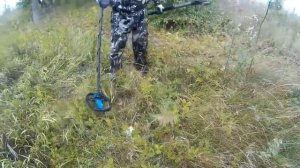 Металлокоп. Давно я не встречал таких посадок богатых на металл! Грибокоп!