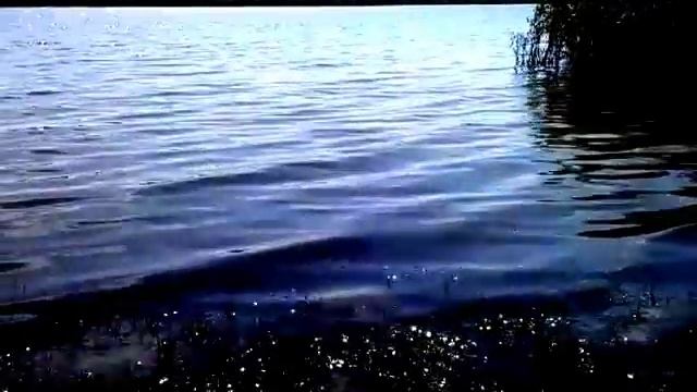 Теплодар. Фидер.Маленький улов за пару часов.Трапер. смотреть онлайн