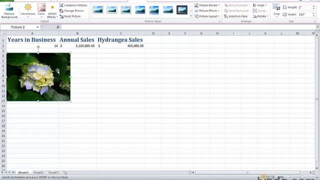 07 Pasting data and formatting with precision from the Course Excel 2010 Real World Projects смотреть онлайн