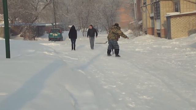 Не можем спокойно смотреть, как убегают родные. смотреть онлайн