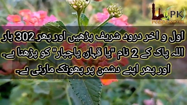 4 Kali Mirch pr Ya Qaharru, Ya Jabbaru Parh lo | Dushman Apni Mout Khud Marey ga смотреть онлайн