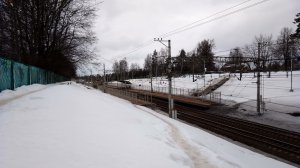 Приветливый сапсан на скорости 175 км/ч по пл. Поваровка.