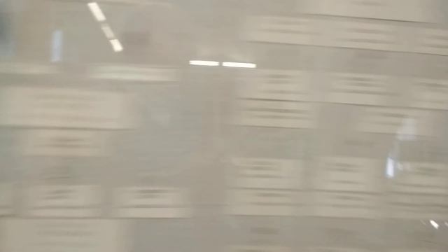 Зоологический музей в Петербурге. Насекомые. смотреть онлайн