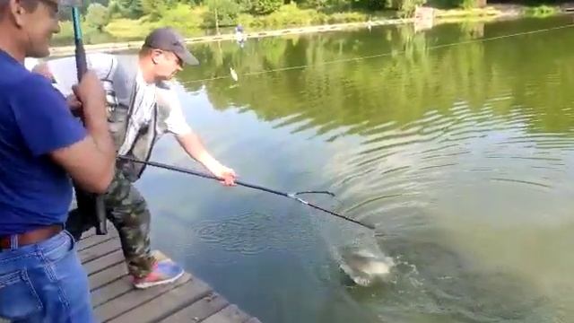 Поимка Белого Амура