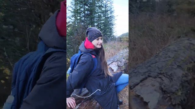 Дикая природа Америки | Потеряла чувство времени смотреть онлайн