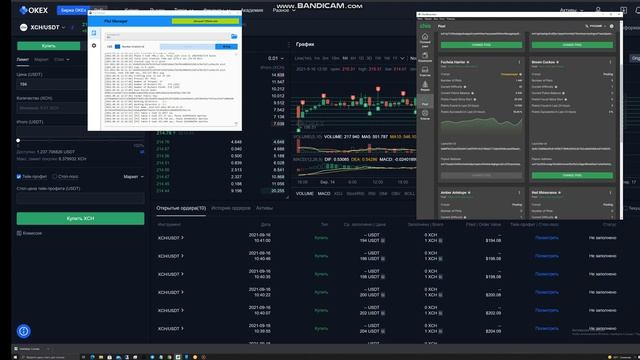 Майнинг chia coin, ухожу в соло пытать удачу , как перейти по НФТ в соло смотреть онлайн