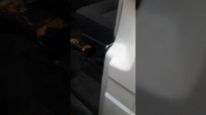 ВУТ от Субару на Газель