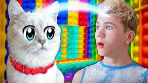 24 ЧАСА в Теле КОШКИ  ПОП ИТ Управляет Моей ЖИЗНЬЮ !!!