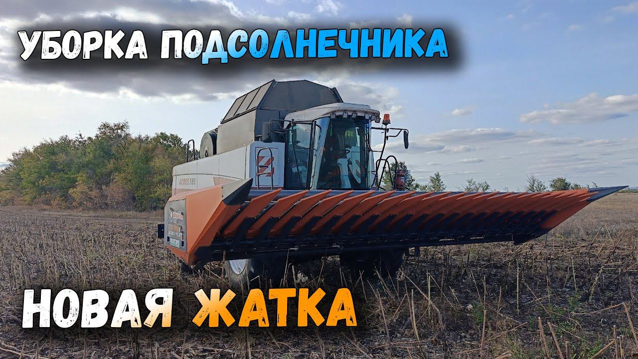 УБОРКА ПОДСОЛНЕЧНИКА. ДРУЖИМ НОВУЮ ЖАТКУ С АКРОС 585 смотреть онлайн