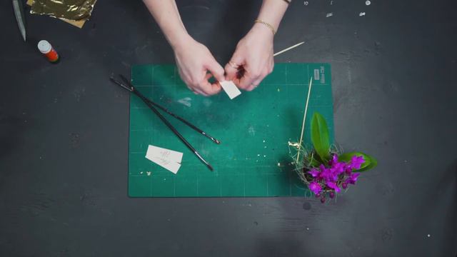 DIY: Orchid place cards смотреть онлайн