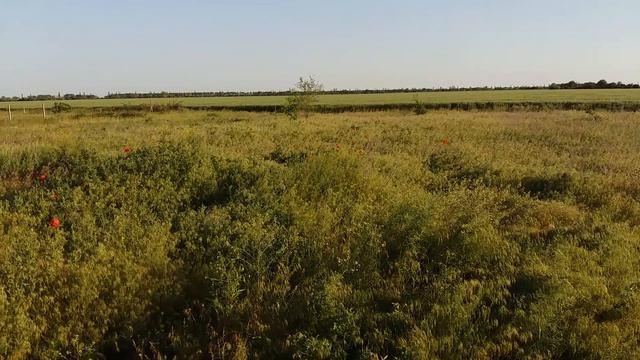 Земельный участок 10 соток, с. Полигон. смотреть онлайн