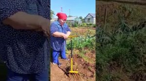 Картофелекопалка! А вилы лучше?