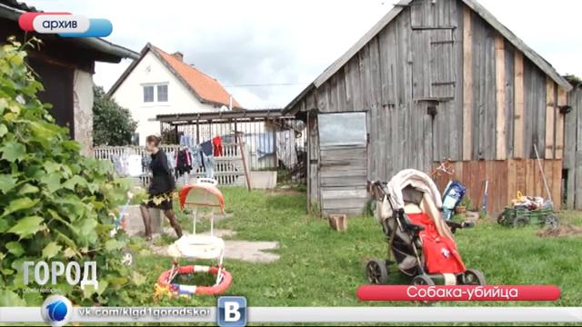 Служба новостей "Город" 08.08.2016 смотреть онлайн