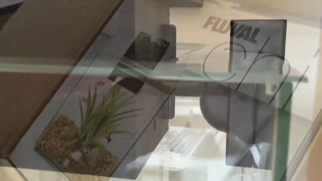 Fluval Chi Aquarium vlog смотреть онлайн