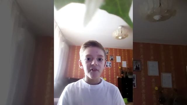 Занятия бит боксом смотреть онлайн