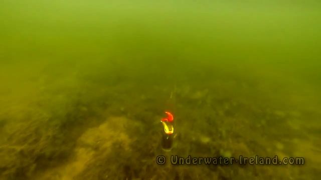 Pike attack Wolf Tail under water. Fish camera. Рыбалка щука атака Lure f muskie zander bass catfis смотреть онлайн