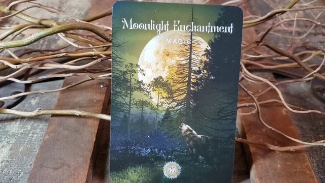 Air Signs Gemini Libra Aquarius Sacred Forest Oracle Message #gemini #libra #aquarius #tarot #air смотреть онлайн