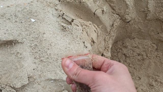 ВЛОГ НАХОДКИ на пляже Я у УТКИ НА ПРИЦЕЛЕ бездельники смотреть онлайн