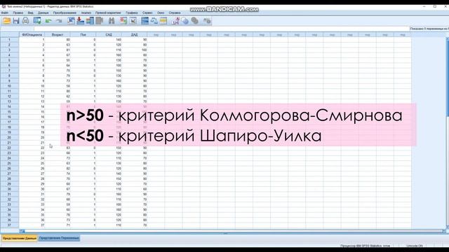 Начало работы с SPSS: описательные статистики смотреть онлайн