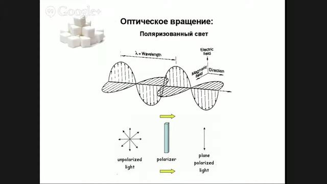 Кружок по биохимии. Младшая группа. Занятие 8. Углеводы. смотреть онлайн