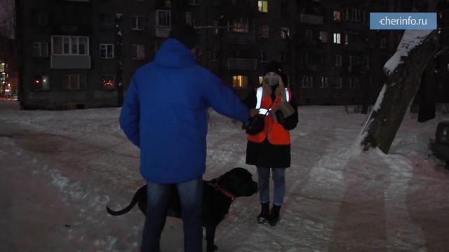 Бесплатные дог-пакеты